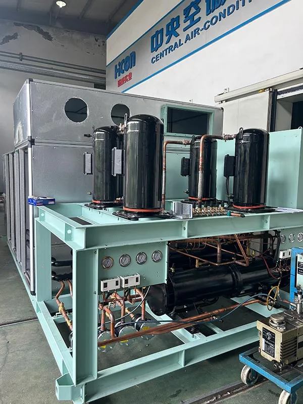Air Cooled Unitary Air Conditioner test